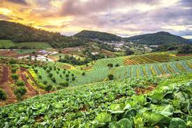Sustainable Farming